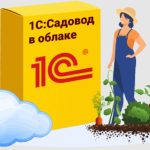 Возможности 1С Садовод в облаке