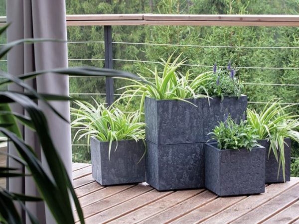 Стратегия долгой жизни: как один раз вложиться в вазоны из бетона и забыть о замене