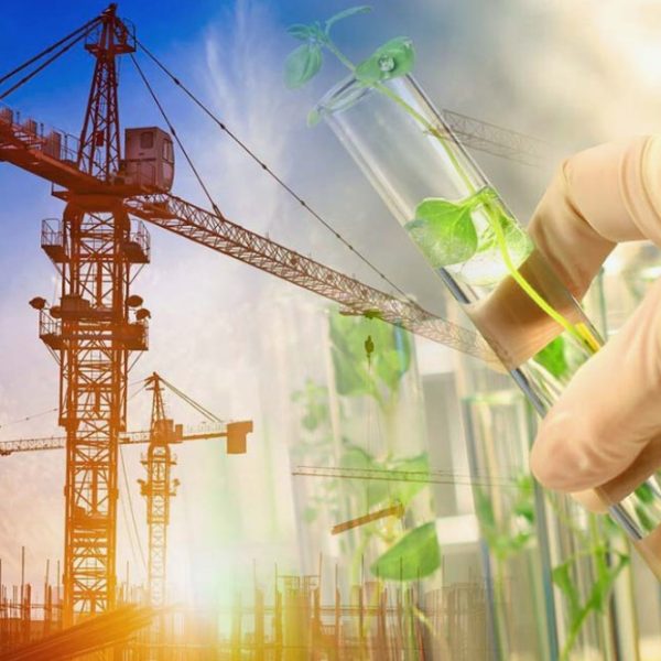 Ошибки при подготовке проектной экологической документации и как их избежать