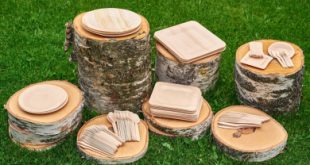 Бизнес-идея Изготовление и сбыт экологичной деревянной посуды